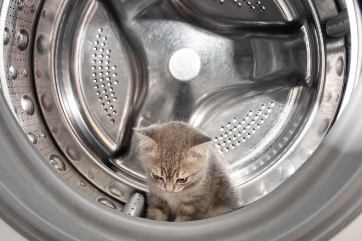 Why Does My Dryer Keep Shutting Off?