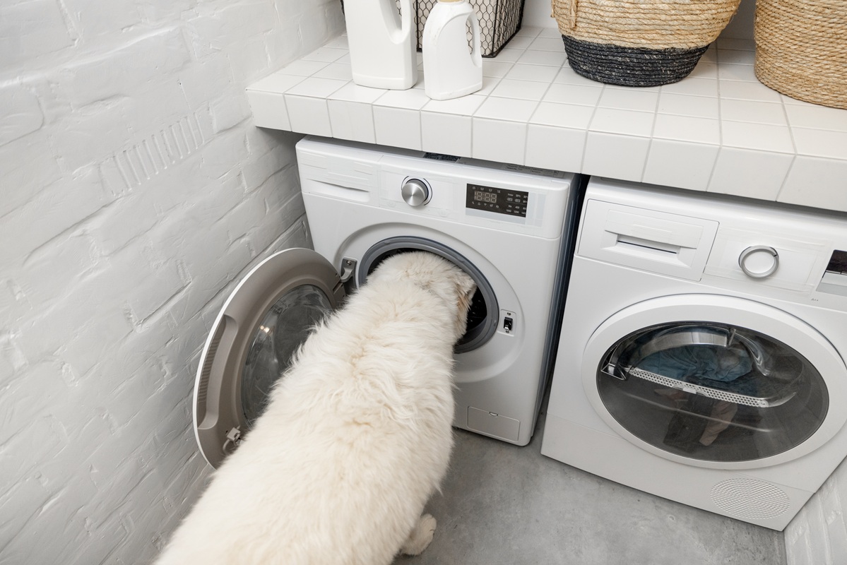 Why Is My Washing Machine Leaking?